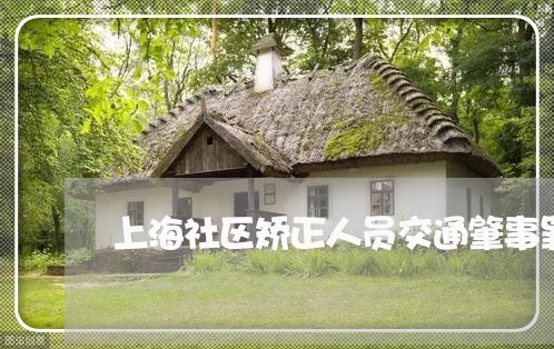 上海社区矫正人员交通肇事罪/2023032563926
