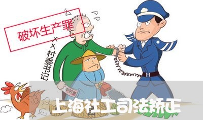 上海社工司法矫正 上海社工司法矫正