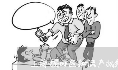 上海福田区知识产权维护案例/2023032581717