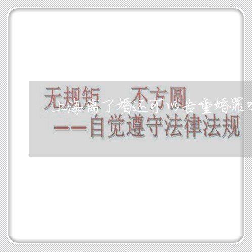 上海离了婚还可以告重婚罪吗/2023032562614