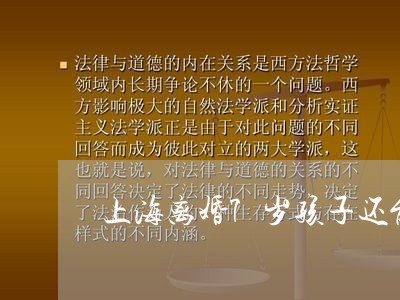 上海离婚7岁孩子还能起诉吗/2023032494848