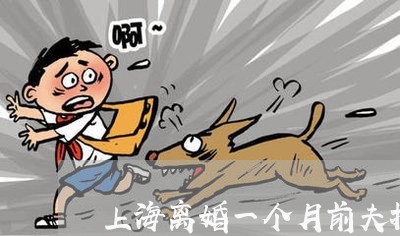 上海离婚一个月前夫找了新欢/2023032414026