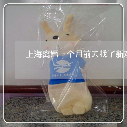 上海离婚一个月前夫找了新欢/2023032473925