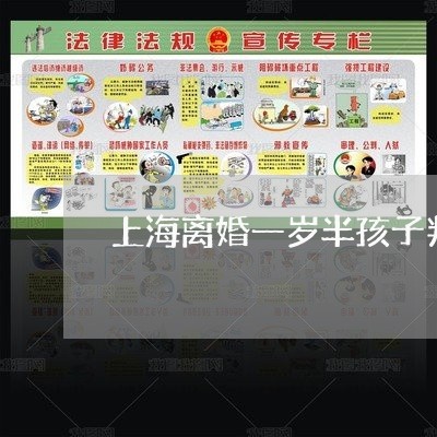 上海离婚一岁半孩子判给男方/2023032425948