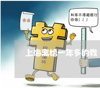 上海离婚一年多的我/2023032652804