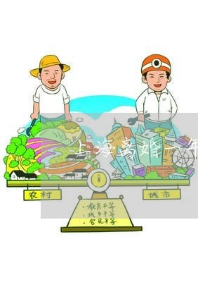 上海离婚一年收到60万汇款/2023032425157