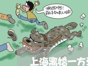 上海离婚一方没房子孩子给谁/2023032412737