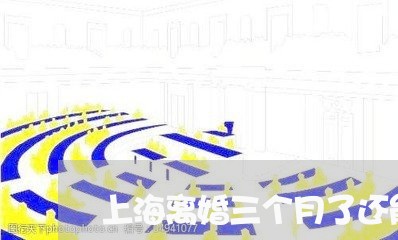 上海离婚三个月了还能上班吗/2023032448270