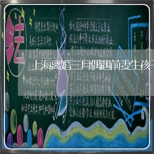上海离婚三月偶遇前妻生孩子/2023032403897 上海离婚三月偶遇前妻生孩子/2023032403897