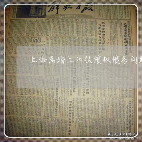 上海离婚上诉状债权债务问题/2023032462714