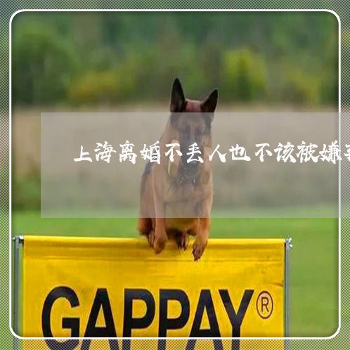 上海离婚不丢人也不该被嫌弃/2023032484613