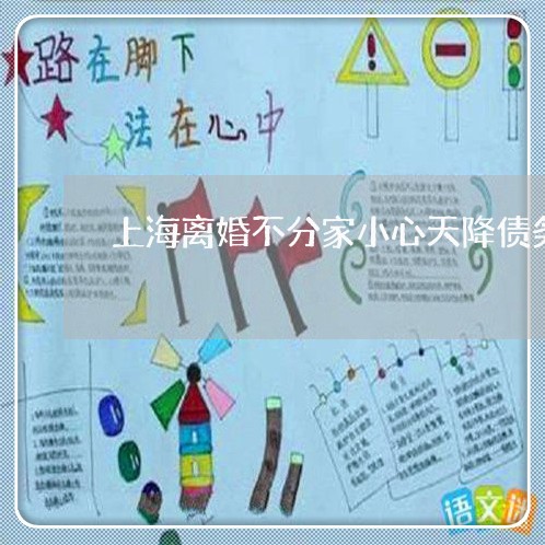 上海离婚不分家小心天降债务/2023032450494