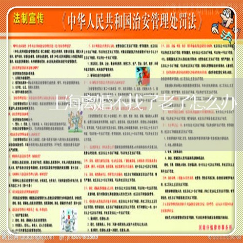 上海离婚不找了老了怎么办/2023032194925