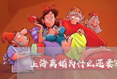 上海离婚为什么还要写诉状书/2023032440382