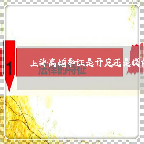 上海离婚举证是开庭还是提前/2023032495959