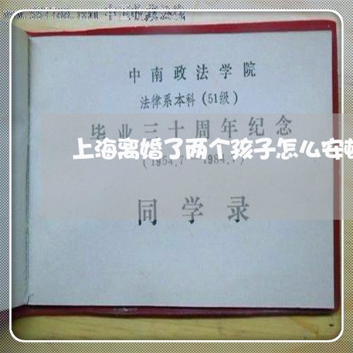 上海离婚了两个孩子怎么安顿/2023032529361 上海离婚了两个孩子怎么安顿/2023032529361