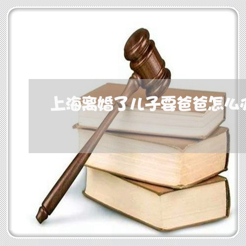 上海离婚了儿子要爸爸怎么办/2023032568591 上海离婚了儿子要爸爸怎么办/2023032568591