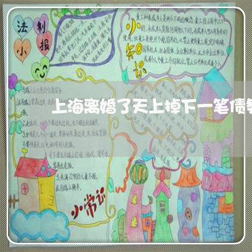 上海离婚了天上掉下一笔债务/2023032516149