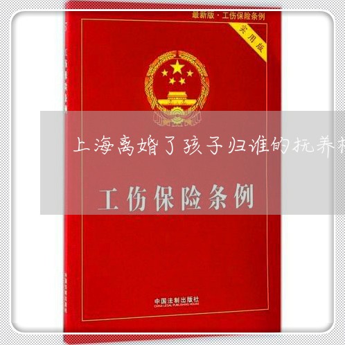 上海离婚了孩子归谁的抚养权/2023032593736