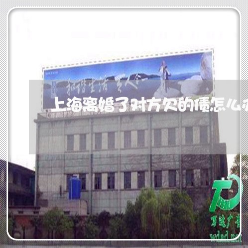 上海离婚了对方欠的债怎么办/2023032526350 上海离婚了对方欠的债怎么办/2023032526350