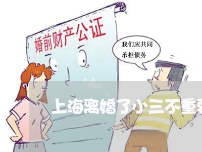 上海离婚了小三不重要怎么办/2023032535048