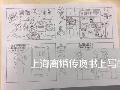 上海离婚传唤书上写的是什么/2023032560480