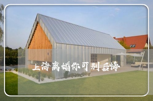 上海离婚你可别后悔/2023032606959