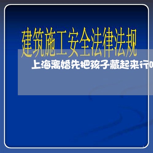 上海离婚先把孩子藏起来行吗/2023032461681
