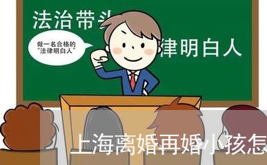 上海离婚再婚小孩怎么弄/2023041263604