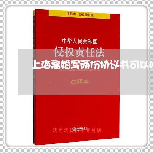 上海离婚写两份协议书可以吗/2023032417150