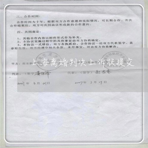 上海离婚判决上诉状提交/2023041238369