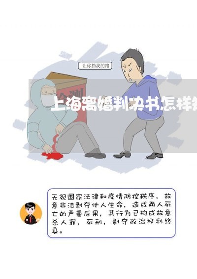 上海离婚判决书怎样知道生效/2023032425138 上海离婚判决书怎样知道生效/2023032425138