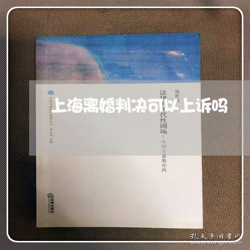 上海离婚判决可以上诉吗/2023041255948