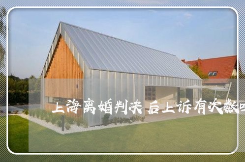 上海离婚判决后上诉有次数吗/2023032452605