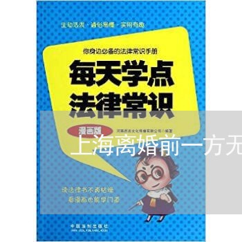 上海离婚前一方无力偿还债务/2023032472915