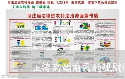 上海离婚前买的理财保险/2023041286827