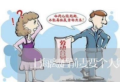 上海离婚前妻要个人财产/2023041239603