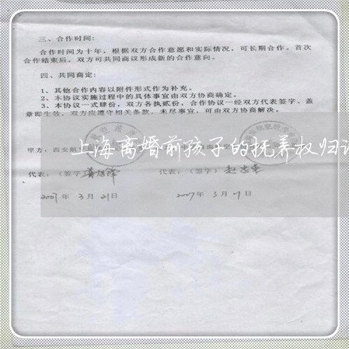 上海离婚前孩子的抚养权归谁/2023032463516