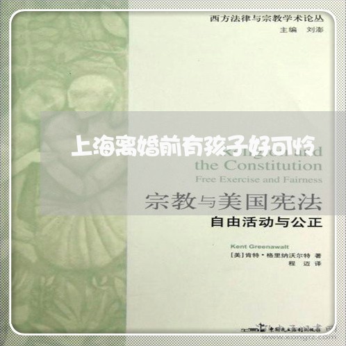 上海离婚前有孩子好可怜/2023021707368 上海离婚前有孩子好可怜/2023021707368
