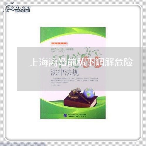 上海离婚前私下调解危险/2023021786704 上海离婚前私下调解危险/2023021786704