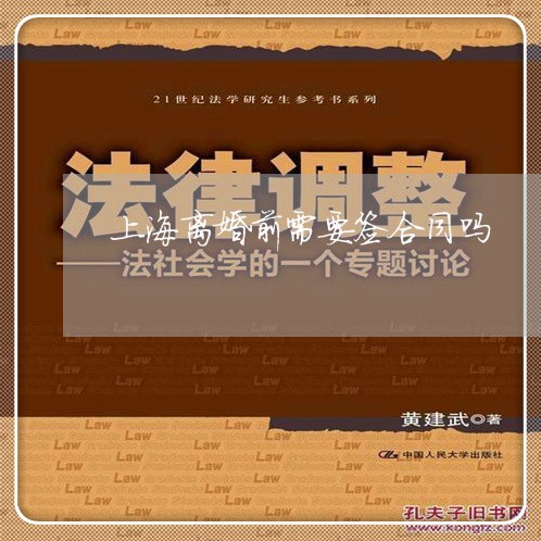 上海离婚前需要签合同吗/2023041297259