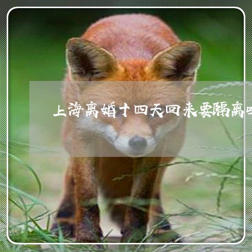 上海离婚十四天回来要隔离吗/2023032394704 上海离婚十四天回来要隔离吗/2023032394704