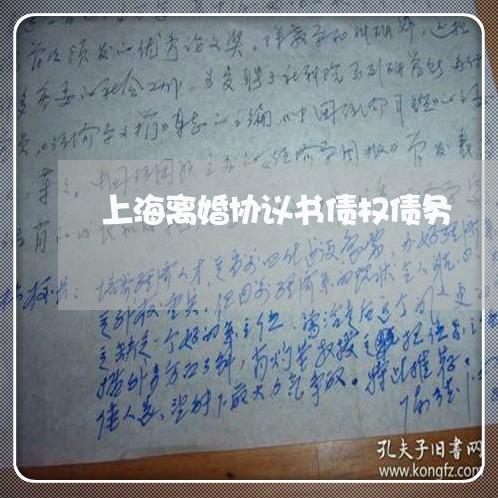 上海离婚协议书债权债务/2023041250262