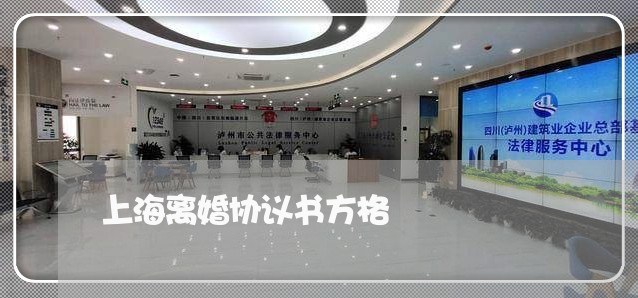 上海离婚协议书方格/2023032526149