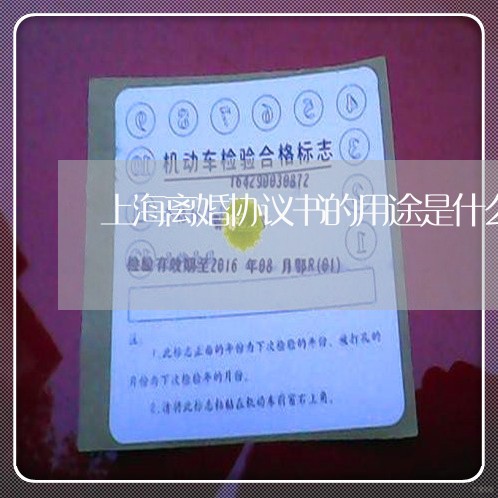 上海离婚协议书的用途是什么/2023032304060