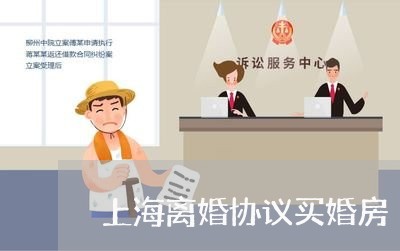 上海离婚协议买婚房/2023032640373