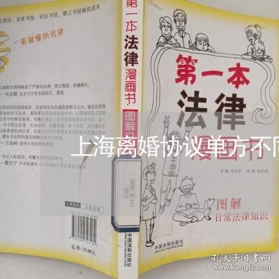 上海离婚协议单方不同意/2023041253615