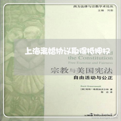 上海离婚协议取得抵押权/2023021840393 上海离婚协议取得抵押权/2023021840393