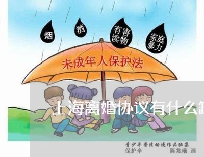 上海离婚协议有什么缺点/2023041274937