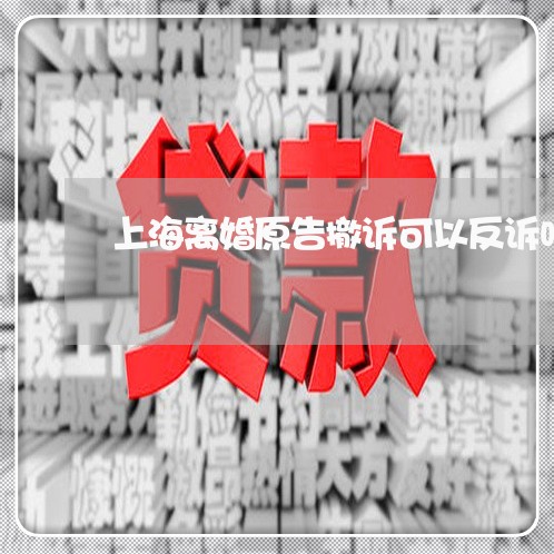 上海离婚原告撤诉可以反诉吗/2023032483514